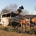 Jerry Howard Photo 47