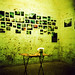 Andre Forte Photo 16