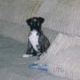 Ginny Conner Photo 6