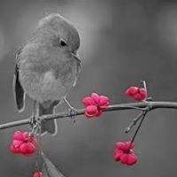 Julie Ernst Photo 19