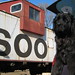 Penny Cooper Photo 12