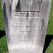 Jerry Phelps Photo 14