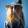 Kelly Choate Photo 24