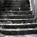 Carol Pace Photo 18