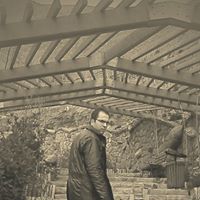 Saeed Hashemi Photo 20