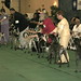 Dorothea Atkinson Photo 1