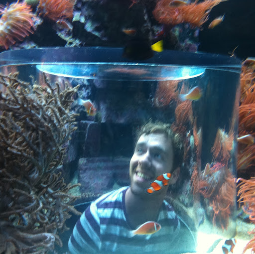 Daniel Aiken Photo 38