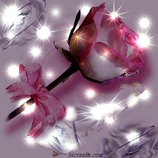 Anita Holmes Photo 5