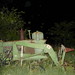 Danny Rayburn Photo 9