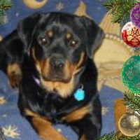 Susan Kimbrell Photo 22