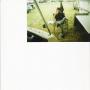 April Bain Photo 14