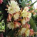 Susan Lynn Photo 33