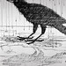 Joseph Crow Photo 38