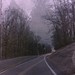 David Truby Photo 13