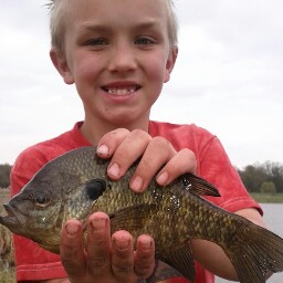 Charles Dickerson Photo 15