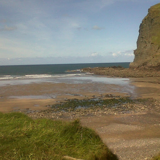Cliff Howell Photo 8