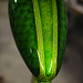 Philip Rich Photo 29