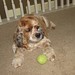 Karen Mccarty Photo 21
