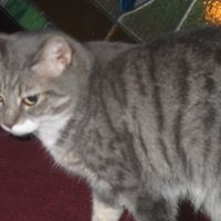 Mary Groff Photo 13