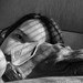 Melissa Dexter Photo 17
