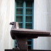 Edward Hebert Photo 35