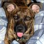 Karen Sturm Photo 26