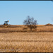 Jack Stubblefield Photo 9