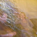 Julia Gough Photo 6