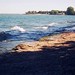 Kelly Shore Photo 15