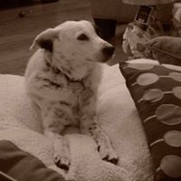 Julie Ashworth Photo 24