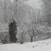 Janice Vaughn Photo 18