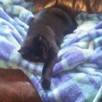 Debbie Nagle Photo 25