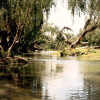 Jeffrey Madsen Photo 9