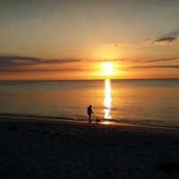 Sandy Wolfe Photo 36