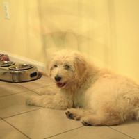 Cooper Robinson Photo 26