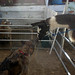 Glen Wiley Photo 13