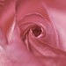 Rosa Segovia Photo 16