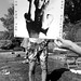 Nelson Summers Photo 13