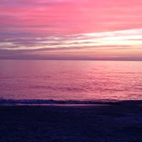 Michelle Bigley Photo 4
