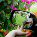 Bette Greene Photo 15