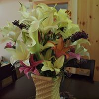 Debbie Sauer Photo 29