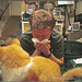 Justin Call Photo 21