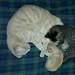 Dawn Landry Photo 18