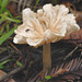 Samuel Taylor Photo 41