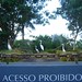 Linda Jares Photo 9