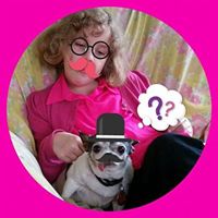 Connie Shipp Photo 4