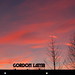 Gordon Lamb Photo 31