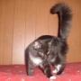 Barbara Conley Photo 11