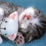 Ann Hobbs Photo 20
