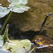 Kimberly Sisco Photo 11
